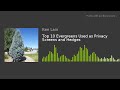 Top 10 Evergreens Used as Privacy Screens and Hedges