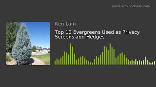 Top 10 Evergreens Used as Privacy Screens and Hedges