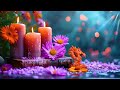 Calming Sleep Music 🌺 Stress Relief Music, Insomnia Healing, Relaxing Music