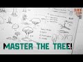 Learning To Draw Trees!  |  Comics - Illustration - Fundamentals