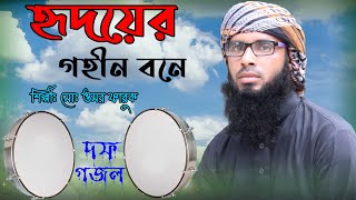 হৃদয়কাড়া নতুন গজল । Hridoyer Gohin Bone । হৃদয়ের গহিন বনে । Surer Pakhi Shilpigosthi ।Pure VVoice