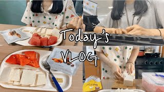 23살 직장인의 소박한 평일 일상vlog✨/ 저녁식단 만들어먹기✊🏻/ 화요일 하루일상 ⏰