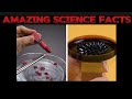 10 Mind Blowing Science Experiments You Can Do at Home! Arsh vibes