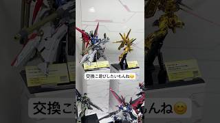 ガンプラのRGアカツキガンダムが待ち遠しい！メタルロボット魂の展示を見てワクワクする日々☺️魂ネイション2024 #gundam #figure #ガンダムseedfreedom #shorts