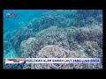 Intip Keelokan Alam Bawah Laut di Pulau Maratua, Kaltim #BIP 15/09