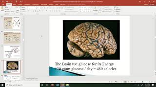 BLOK 7 - CARBOHYDRATE METABOLISM ANABOLISM - dr. Liniyanti D. Oswari, MNS., M.Sc