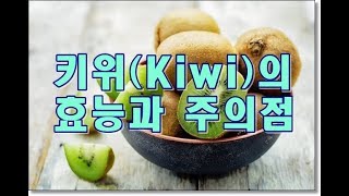 키위(kiwi)의 효능