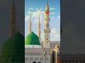 mujhe ha ap se jitni mohobbat yarasolallah madina love