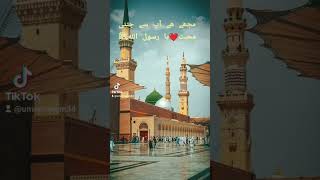 Mujhe ha Ap se jitni Mohobbat Yarasolallah, #madina #love