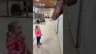 Should I just get a bin of treats next to each stall? #horse #toddlers #horsecare #equestrian