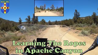 Learning The Ropes in Apache Canyon