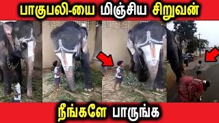 பாகுபலியை மிஞ்சிய சிறுவன் நீங்களே பாருங்க | Tamil News | Latest seithigal