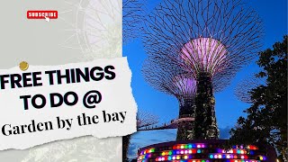 TOP FREE things to do in Singapore : Supertree Grove Light Show \u0026 Borealis  at Gardens by the Bay