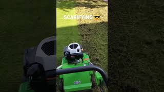 Scarifying Lawns 👌👍