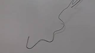 Magic Shape Memory Nitinol Wire Experiment