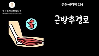 【124회】 트레이너가 알아야할 고유수용성 감각-경로 1부(교재 pp119-130), 운동생리학 태선생 TAEssam