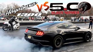 BOOSTED Mustang vs MODIFIED Hayabusa Drag Race! *Surprise Winner