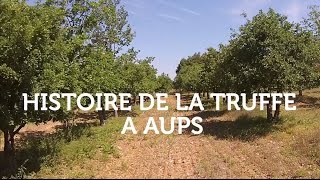 Histoire De La Truffe à Aups