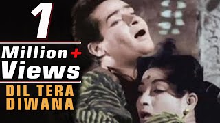 Dil Tera Deewana Hai Sanam | Shammi Kapoor | Lata Mangeshkar Mohammed Rafi | New Colour version Song