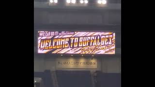 20231009【Welcome to Buffaloes】開門直後のﾋﾞｼﾞｮﾝ演出｢Welcome｣　#shorts　#オリックスバファローズ@京ｾﾗﾄﾞｰﾑ大阪･ﾚﾌﾄ外野下段