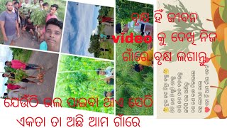 ଗଛ ହିଁ ଜୀବନ ଆମର ଛୋଟିଆ ପ୍ରୟାସ🥰🥰#trendingvideo #viralvideo