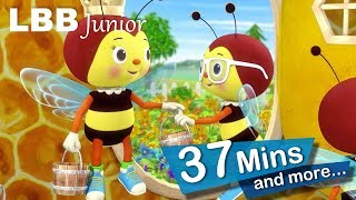 Honey Bees Song | Buzz Buzz!! | And Lots More Original Songs | From LBB Junior!