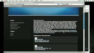 Wordpress Template Programming - Part 10