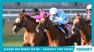 Alogon \u0026 Works For Me - 2024 - DEAD HEAT in the Aqueduct Turf Sprint