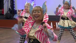 バービーズ（Ⅰ）＠2015　ワカバウォークよさこい