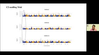 Genome-wide association studies for cassava brown streak disease