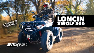 Essai Loncin XWOLF 300 - compact et costaud !