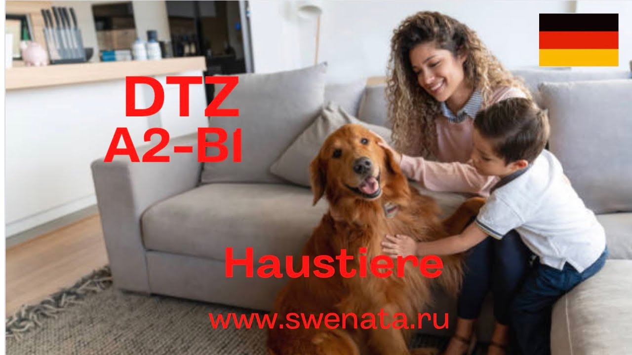 DTZ A2- B1 I Thema: "Tiere" Bildbeschreibung - YouTube