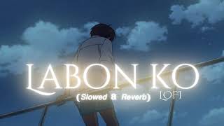 Labon Ko (Slowed + Reverbed) Lofi Mix: Dive into Serenity with These Chill Beats!