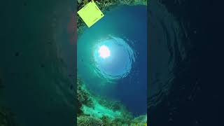 James Cameron In Mariana Trench | Amazing Facts About Mariana Trench | Mariana Trench Mysteries