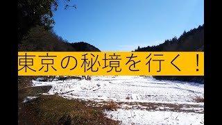 奥多摩さんぽ①天竺山～横沢入