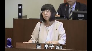 平成30年伊万里市議会第3回定例会(9月) 盛　泰子　議員