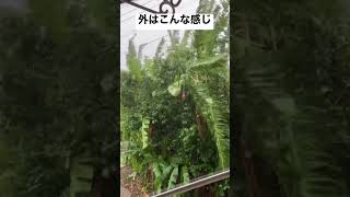 避難所停電した　　台風14号