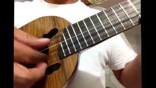 Charango Ronroco Luthier Kiernan Buenos Aires