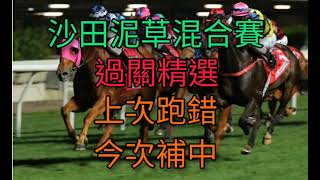 香港賽馬2021年2月21日沙田泥草混合日賽(過關精選)