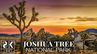 Stunning 8K TV Wallpaper Slideshow - Best Shots from Joshua Tree National Park, California