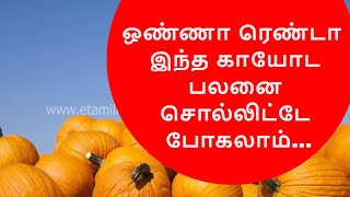 ஒண்ணா ரெண்டா இந்த காயோட பலனை சொல்லிட்டே போகலாம்...  | Pumpkin Benefits