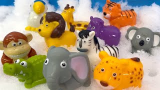 Wild Animals Toys in the Snow For Kids