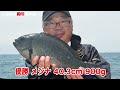 衝撃映像 【この岩に3人も 汗 】第29回全日本磯釣連盟東日本支部京葉地区合同磯釣大会【千葉金谷・岡澤】