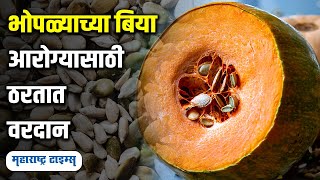 भोपळ्याच्या बियांच्या सेवनाचे फायदे | Health Benefits of Pumpkin Seeds