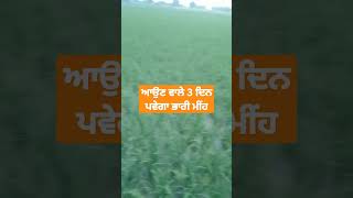 ਆਉਣ ਵਾਲੇ 3 ਦਿਨ ਪਵੇਗਾ ਭਾਰੀ ਮੀਂਹ