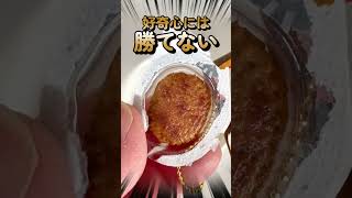 【ガチャ】ハンバァァァグ!!!!!超リアル！レトルトハンバーグ＆ミートボールマスコット回して開けてみた