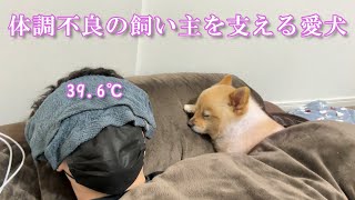 体調不良の飼い主を心配する愛犬の姿に、胸が締め付けられました…