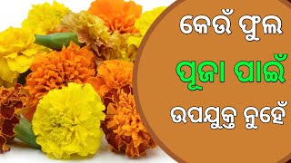 କେଉଁ ଫୁଲ ପୂଜା ପାଇଁ ଉପଯୁକ୍ତ ନୁହେଁ ! Don't Use These Flower For God Warship ! Spiritual Tips Odia