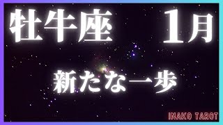 2025年1月♉️牡牛座の運勢♉️タロットリーディング｜新たな一歩