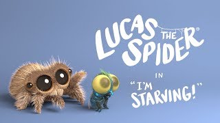 Lucas the Spider - I'm Starving - Short